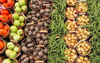 共享農莊新玩法 初級農產品變現全攻略