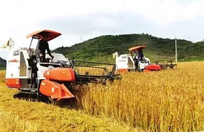 山東實(shí)施八大舉措，為鄉(xiāng)村振興注入新動(dòng)能