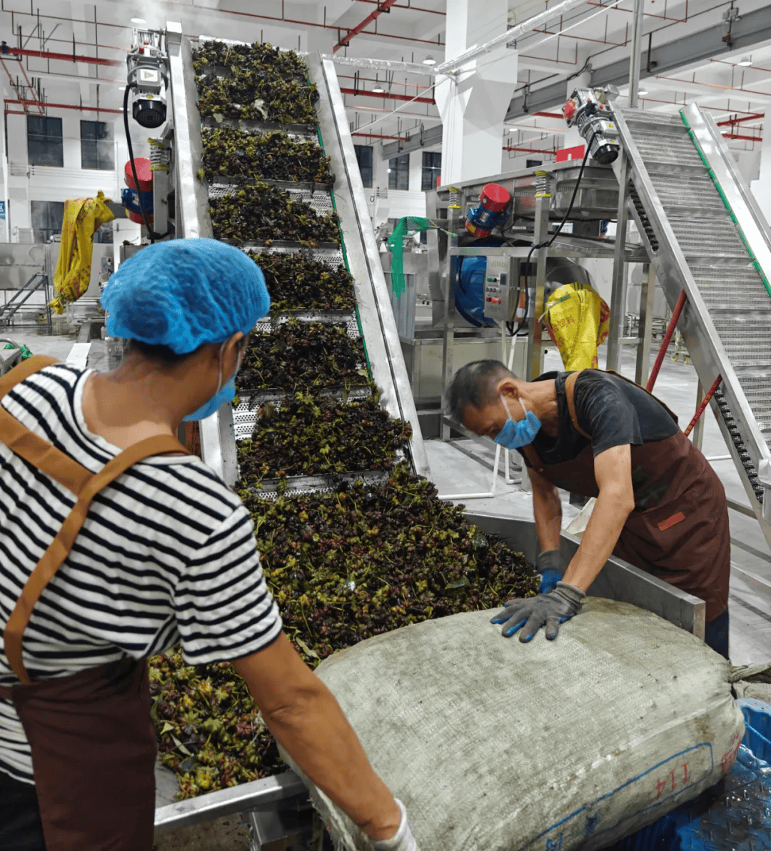 上林縣新增初級農(nóng)產(chǎn)品產(chǎn)地倉，打造現(xiàn)代農(nóng)業(yè)流通新樞紐