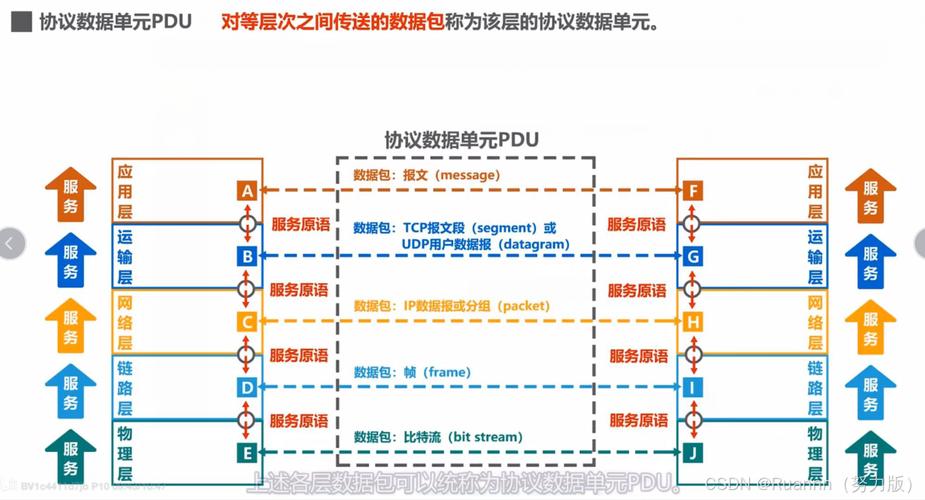 網絡層分組與互聯網數據服務 解析IP數據報的核心機制